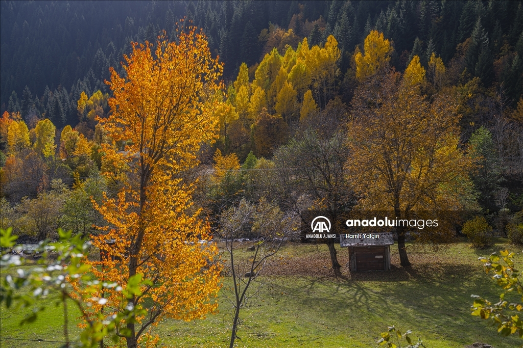 Doğu Karadeniz’in doğal sit alanı Papart Vadisi