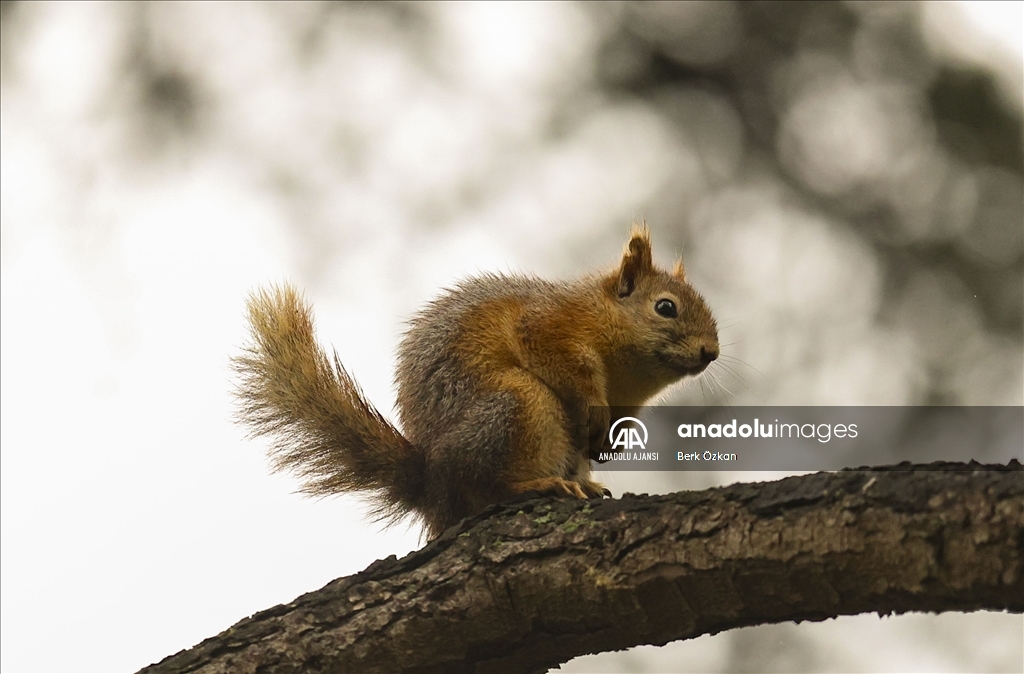 İstanbul'da sonbahar