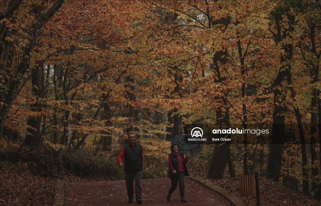 İstanbul'da sonbahar
