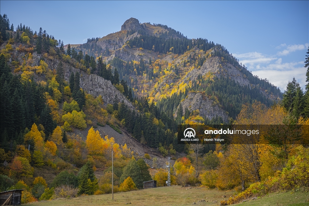 Doğu Karadeniz’in doğal sit alanı Papart Vadisi