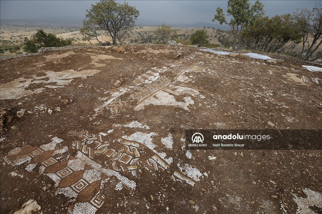 Excavations reveal marine life mosaics in Kela Hanma