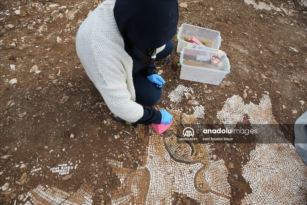 Excavations reveal marine life mosaics in Kela Hanma