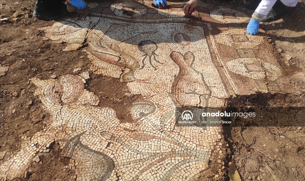 Excavations reveal marine life mosaics in Kela Hanma