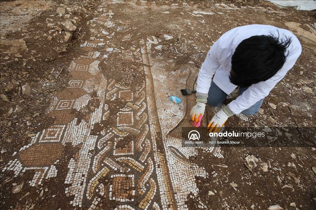 Excavations reveal marine life mosaics in Kela Hanma