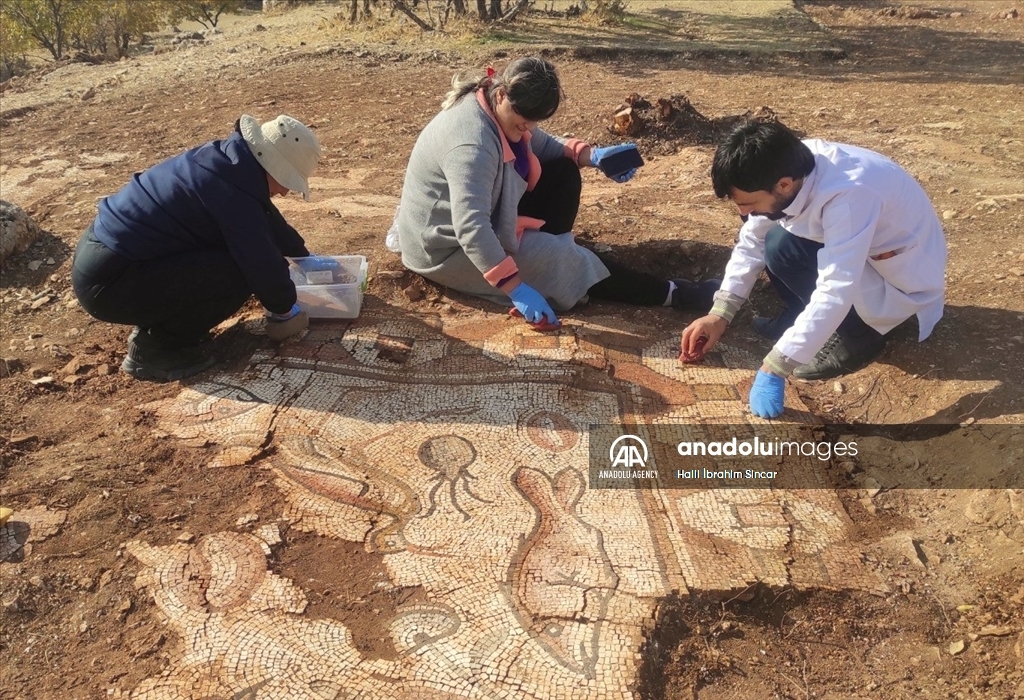 Excavations reveal marine life mosaics in Kela Hanma