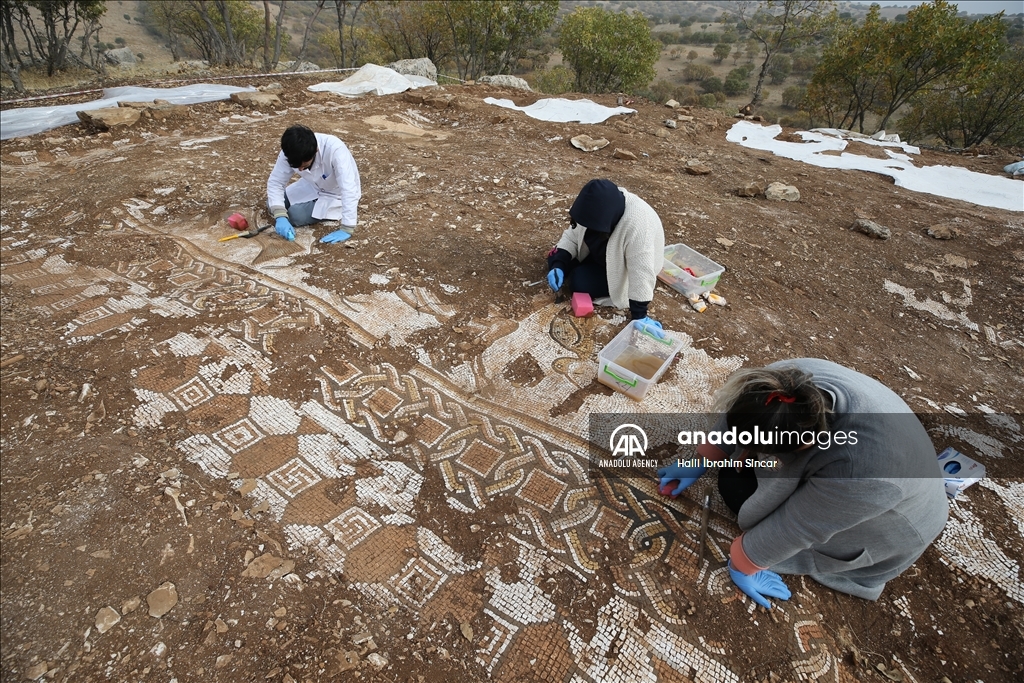 Excavations reveal marine life mosaics in Kela Hanma