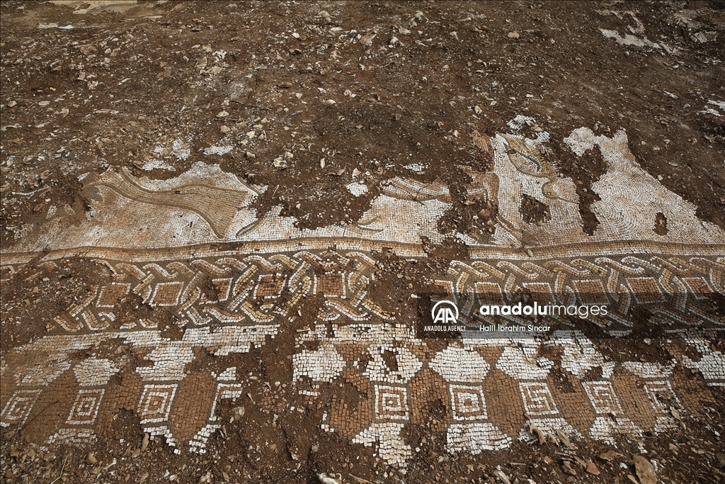 Excavations reveal marine life mosaics in Kela Hanma