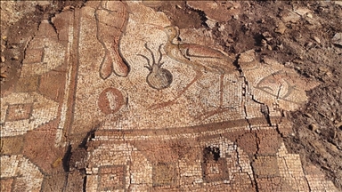 Excavations reveal marine life mosaics in Kela Hanma