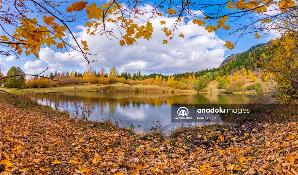 Zengin bitki örtüsüne sahip Artvin, mevsim geçişinde farklı bir güzelliğe büründü