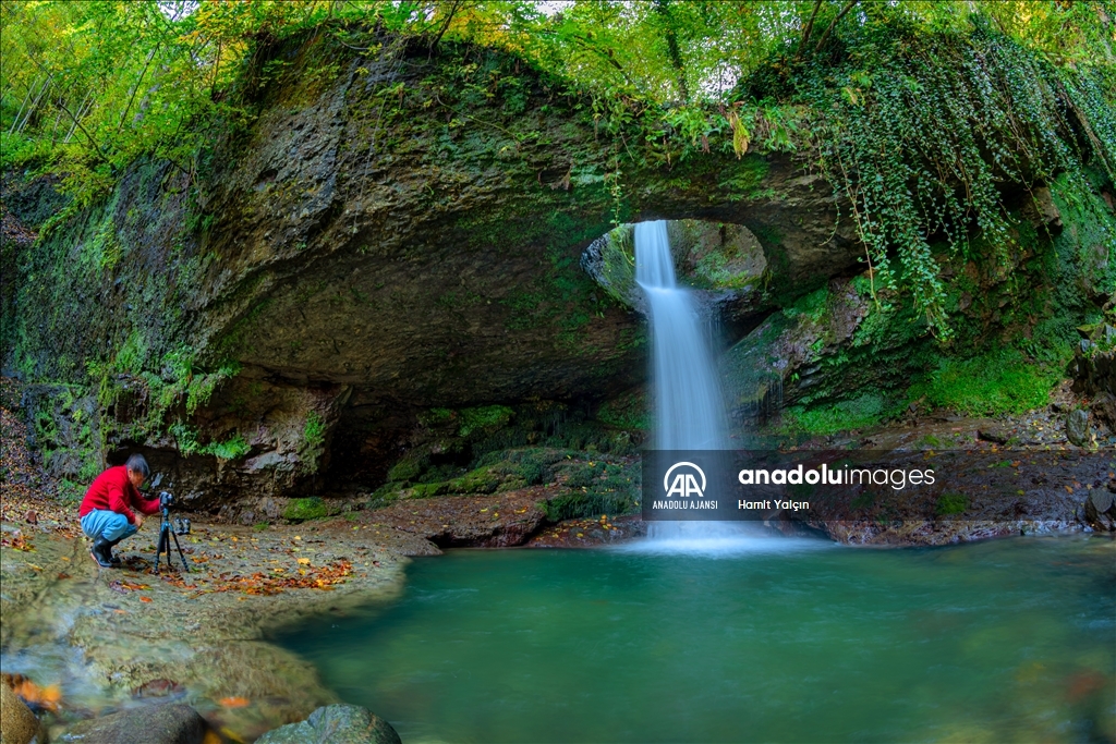 Zengin bitki örtüsüne sahip Artvin, mevsim geçişinde farklı bir güzelliğe büründü