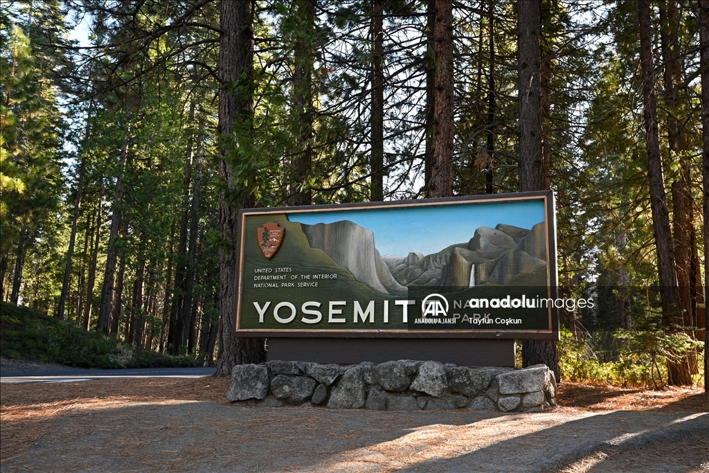 Yosemite Ulusal Parkı