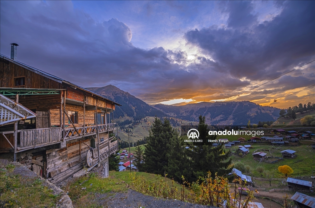 Zengin bitki örtüsüne sahip Artvin, mevsim geçişinde farklı bir güzelliğe büründü