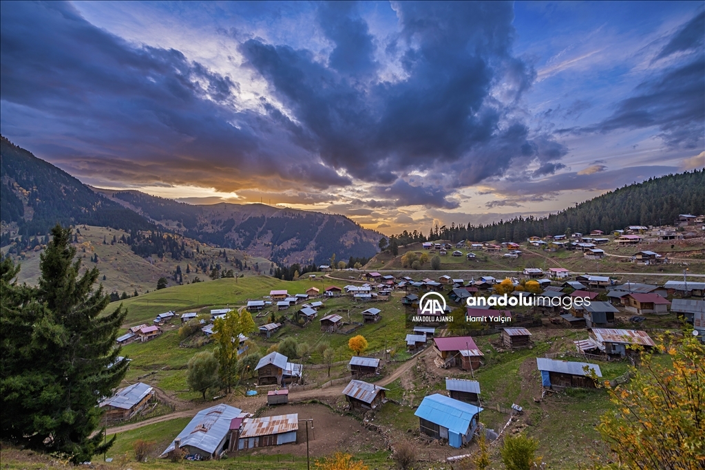 Zengin bitki örtüsüne sahip Artvin, mevsim geçişinde farklı bir güzelliğe büründü