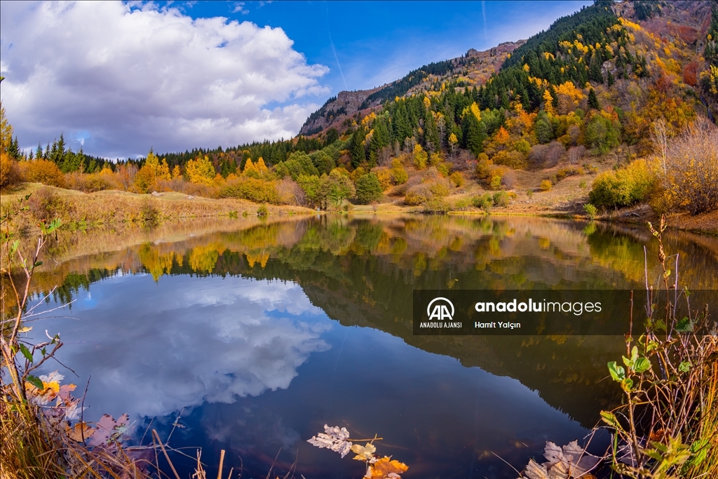 Zengin bitki örtüsüne sahip Artvin, mevsim geçişinde farklı bir güzelliğe büründü