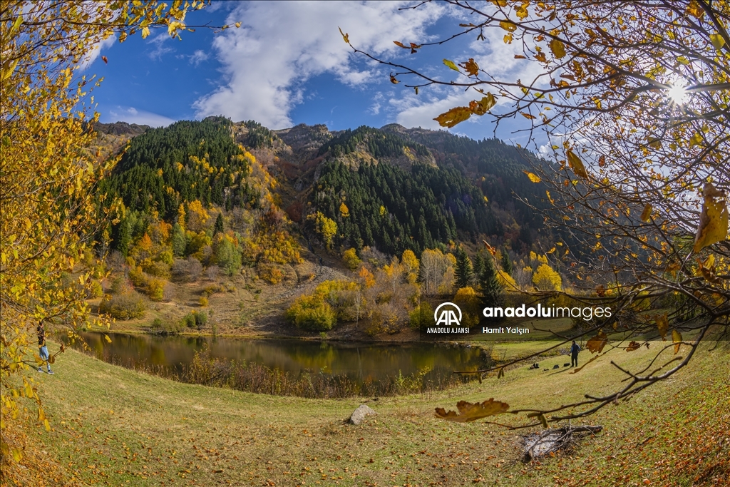 Zengin bitki örtüsüne sahip Artvin, mevsim geçişinde farklı bir güzelliğe büründü