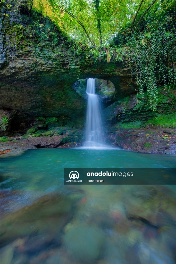 Zengin bitki örtüsüne sahip Artvin, mevsim geçişinde farklı bir güzelliğe büründü