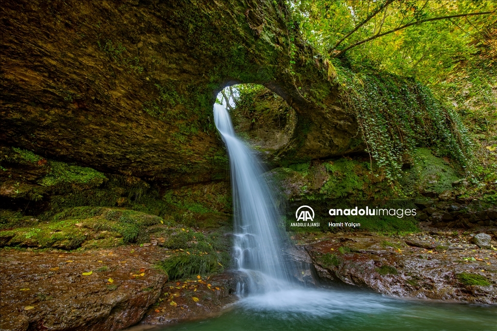 Zengin bitki örtüsüne sahip Artvin, mevsim geçişinde farklı bir güzelliğe büründü