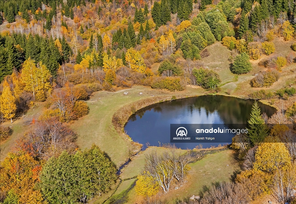 Zengin bitki örtüsüne sahip Artvin, mevsim geçişinde farklı bir güzelliğe büründü
