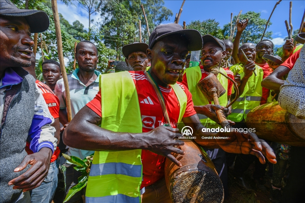 Kenya'da geleneksel boğa güreşleri