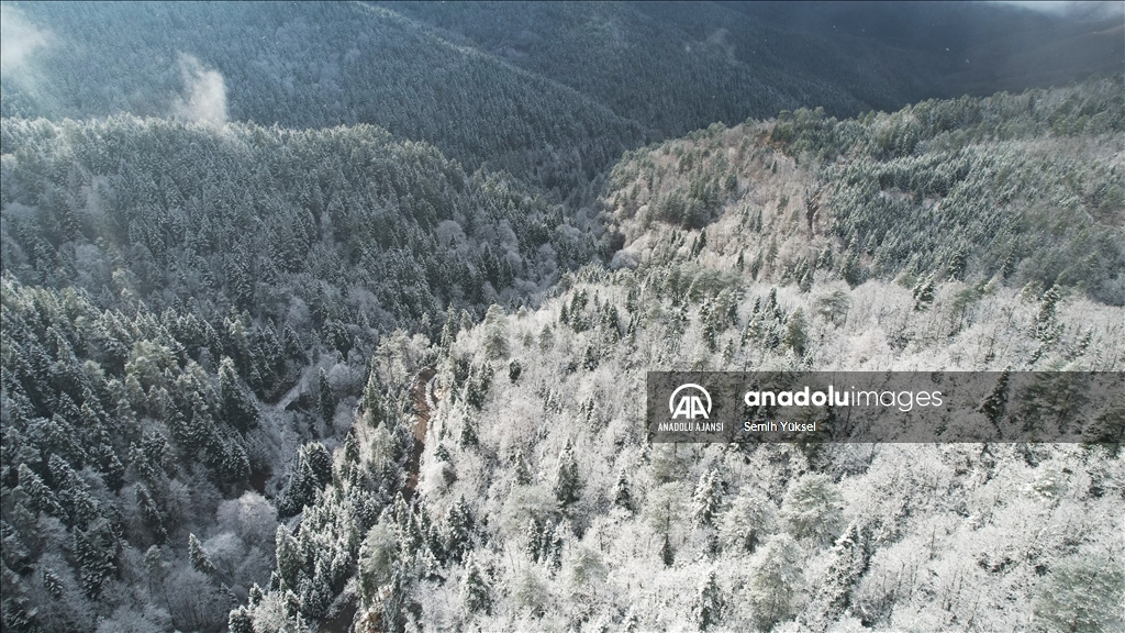 Kastamonu'da kar ve sisle buluşan ormanlar dron ile görüntülendi