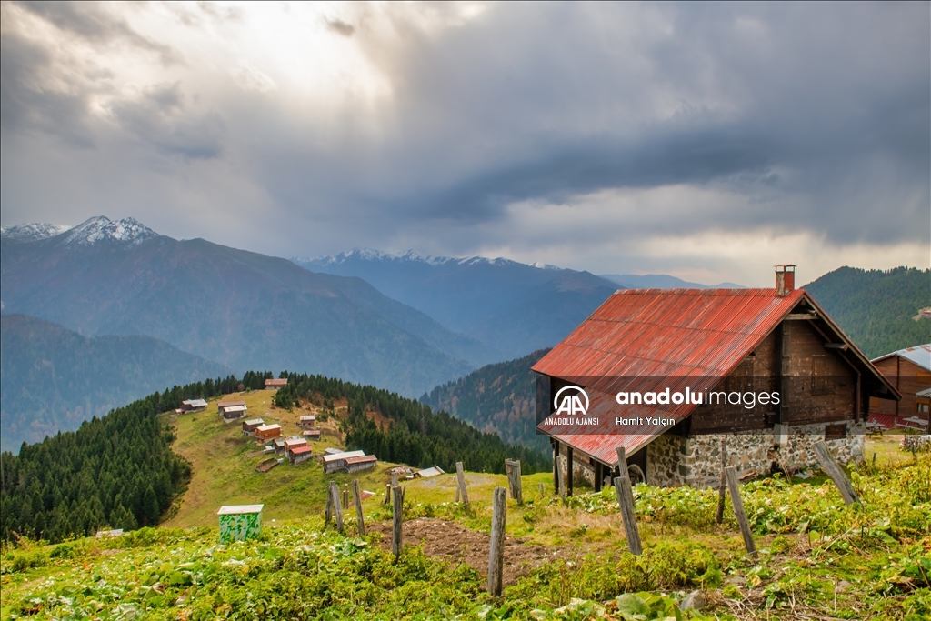 Pokut Yaylası, misafirlerini bekliyor