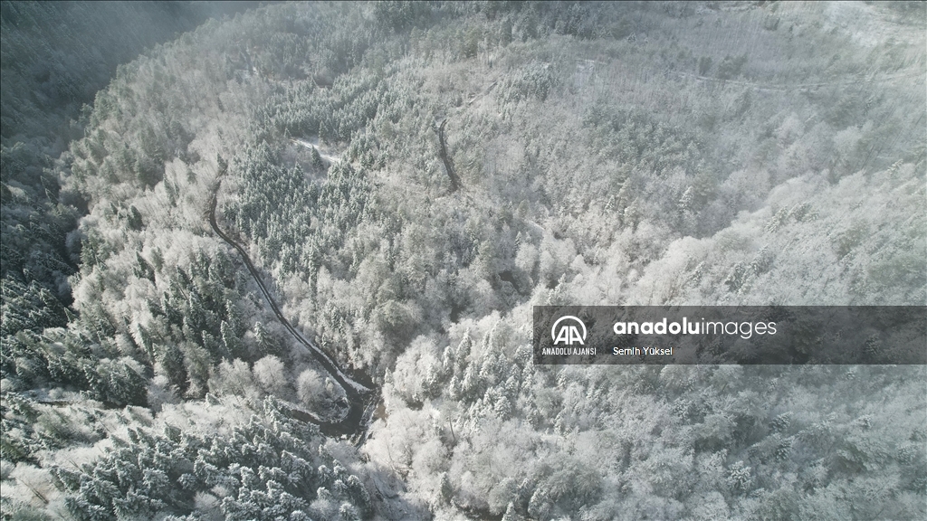 Kastamonu'da kar ve sisle buluşan ormanlar dron ile görüntülendi