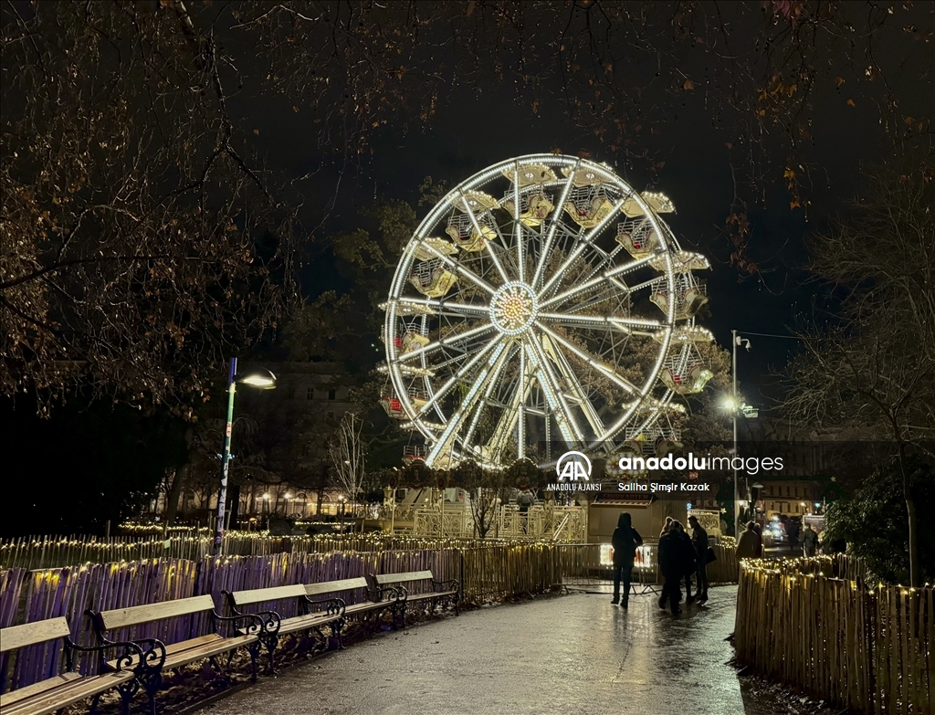 Viyana'da Noel ve yılbaşı hazırlıkları