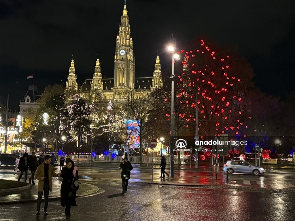 Viyana'da Noel ve yılbaşı hazırlıkları