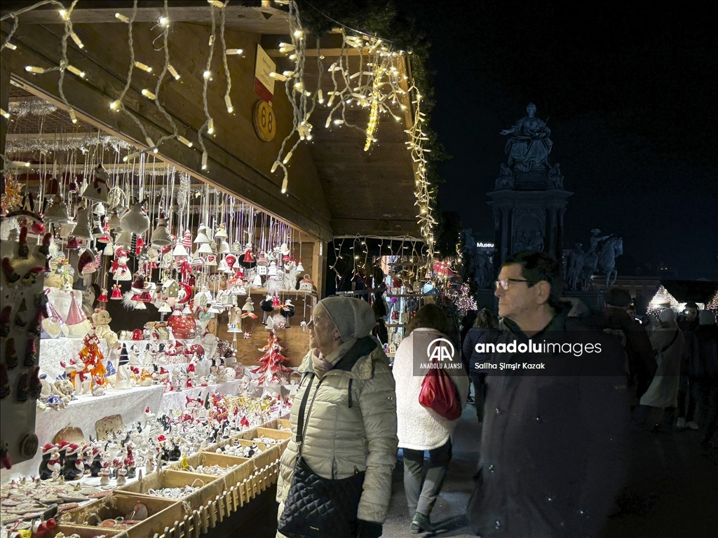 Viyana'da Noel ve yılbaşı hazırlıkları
