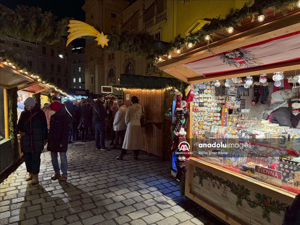 Viyana'da Noel ve yılbaşı hazırlıkları
