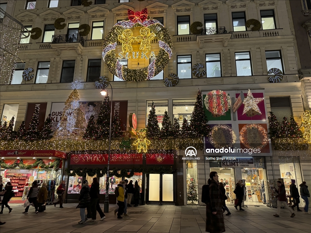 Viyana'da Noel ve yılbaşı hazırlıkları