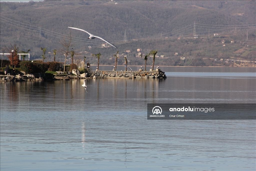 Abant, Safranbolu, Amasra, Sapanca ve Taraklı 2024'e hareketli girecek