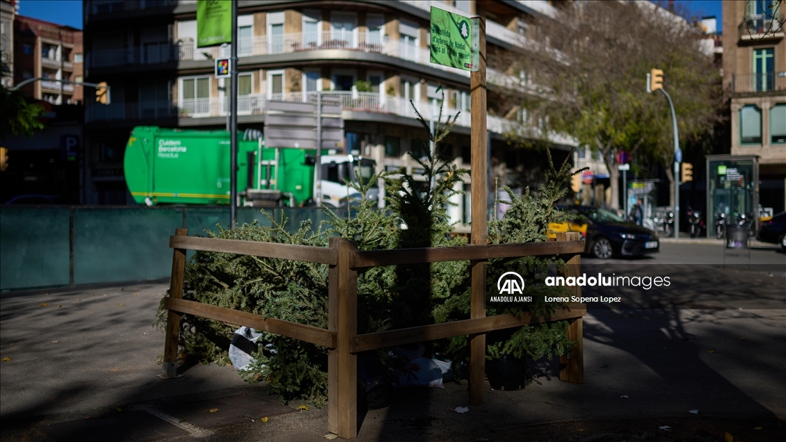 Barselona Belediye Meclisi kentte 227 Noel ağacı toplama noktası kurdu