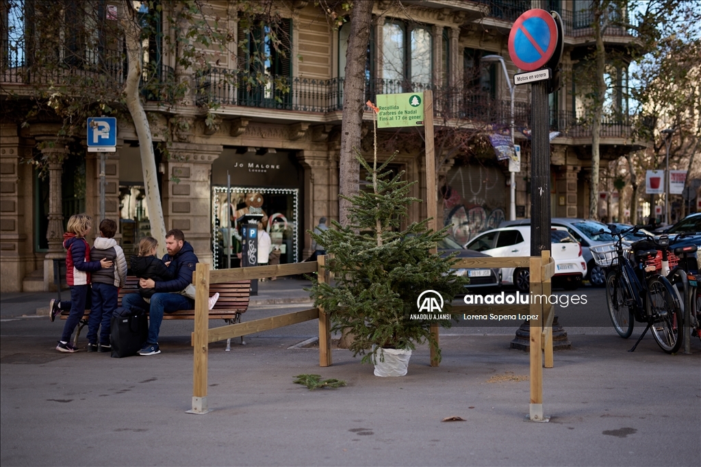 Barselona Belediye Meclisi kentte 227 Noel ağacı toplama noktası kurdu
