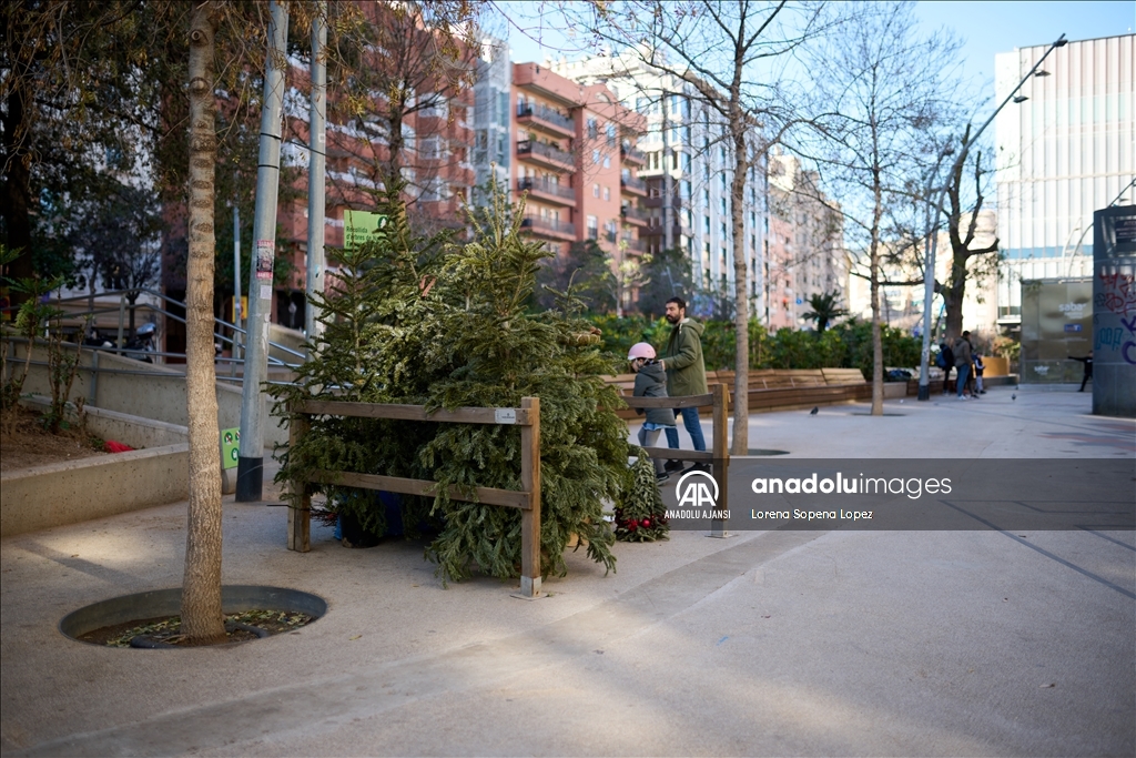 Barselona Belediye Meclisi kentte 227 Noel ağacı toplama noktası kurdu