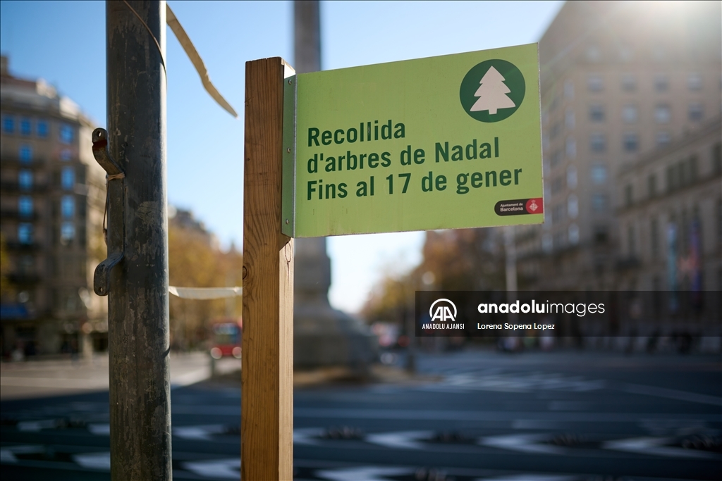 Barselona Belediye Meclisi kentte 227 Noel ağacı toplama noktası kurdu