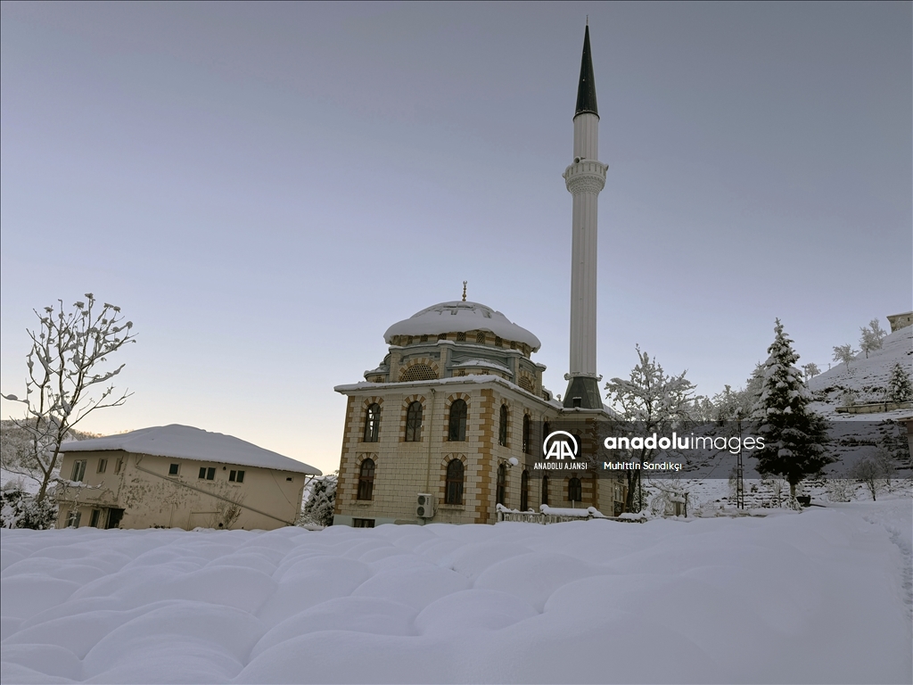 Doğu Karadeniz'de çay bahçeleri karla birleşti