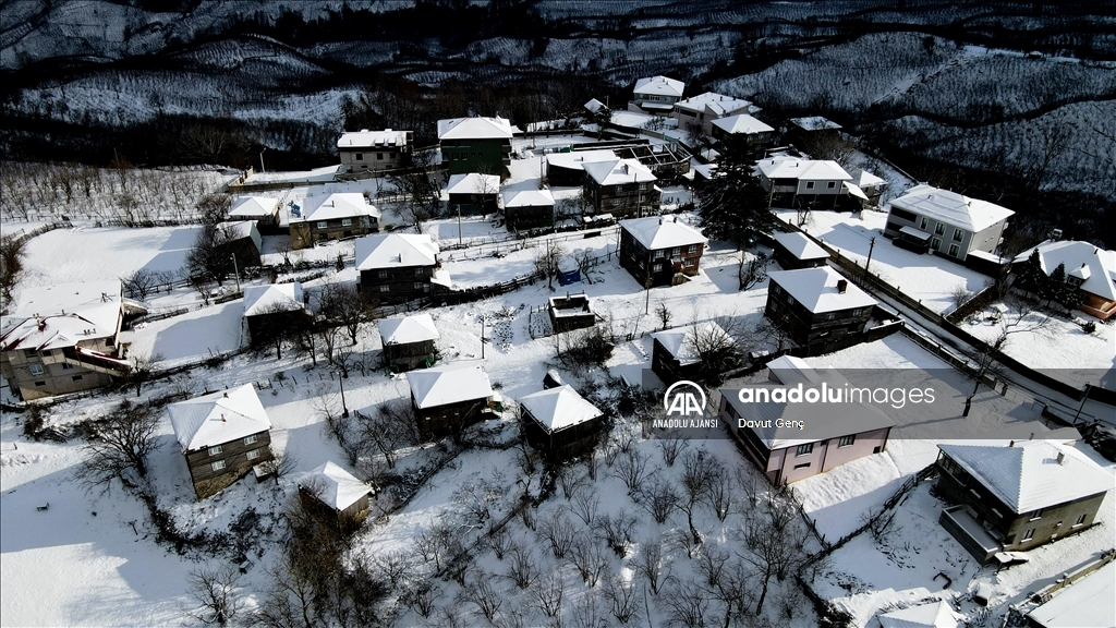 Sakarya'da beyaz örtüyle kaplanan Çam Dağı'nın eteklerini kardelenler süsledi