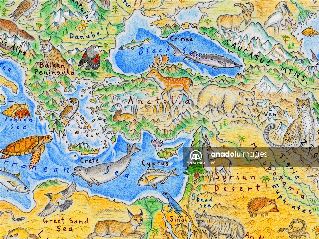 بأنامل نيوزلندية.. خريطة العالم تتزين برسوم 1642 حيوانا بريا