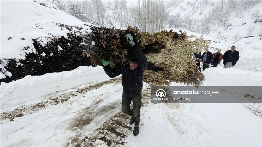 Bitlis&#39;te kar yağışı yaşamı olumsuz etkiledi