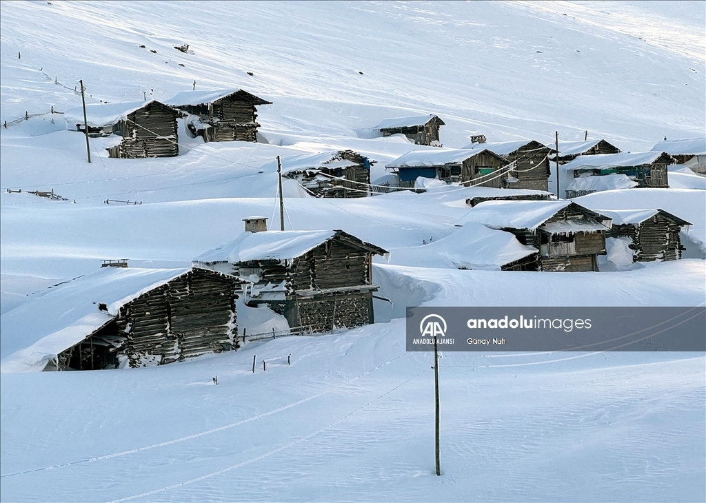 Ardahan'da soğuk hava etkili oluyor