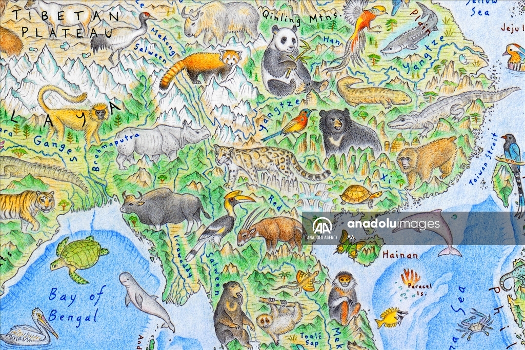 بأنامل نيوزلندية.. خريطة العالم تتزين برسوم 1642 حيوانا بريا