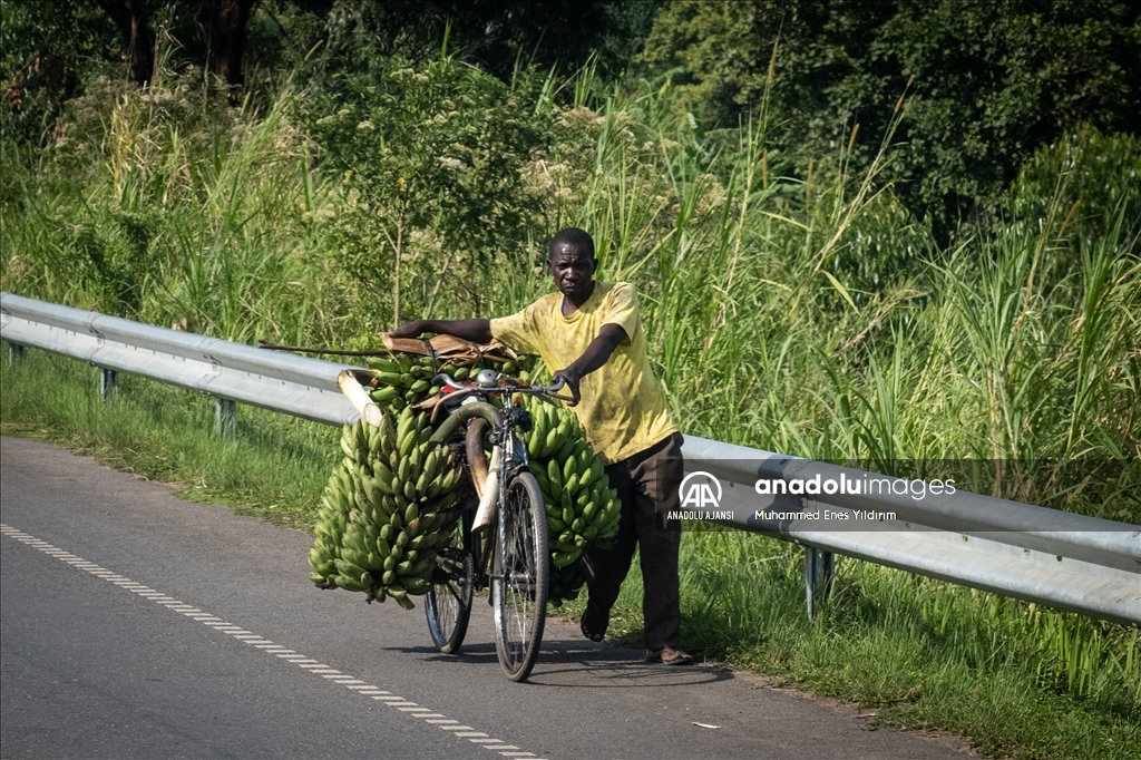 ''Afrika'nın Kalbi'' Uganda'nın renkli kültürüne yolculuk