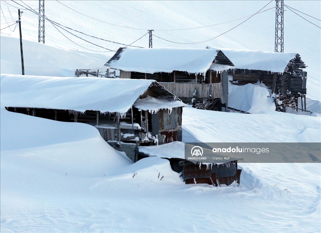 Ardahan'da soğuk hava etkili oluyor