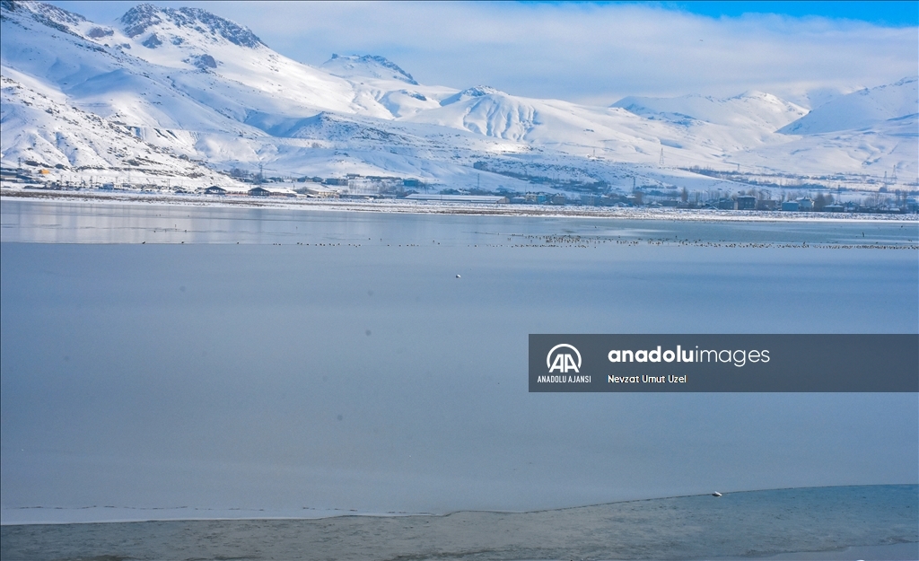 Van'daki Sıhke Gölü'nün yüzeyi buz tuttu