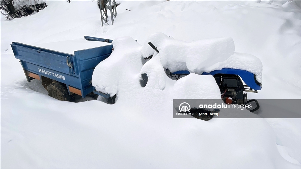 Bitlis&#39;te kar yağışı yaşamı olumsuz etkiledi