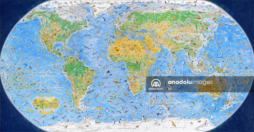 بأنامل نيوزلندية.. خريطة العالم تتزين برسوم 1642 حيوانا بريا