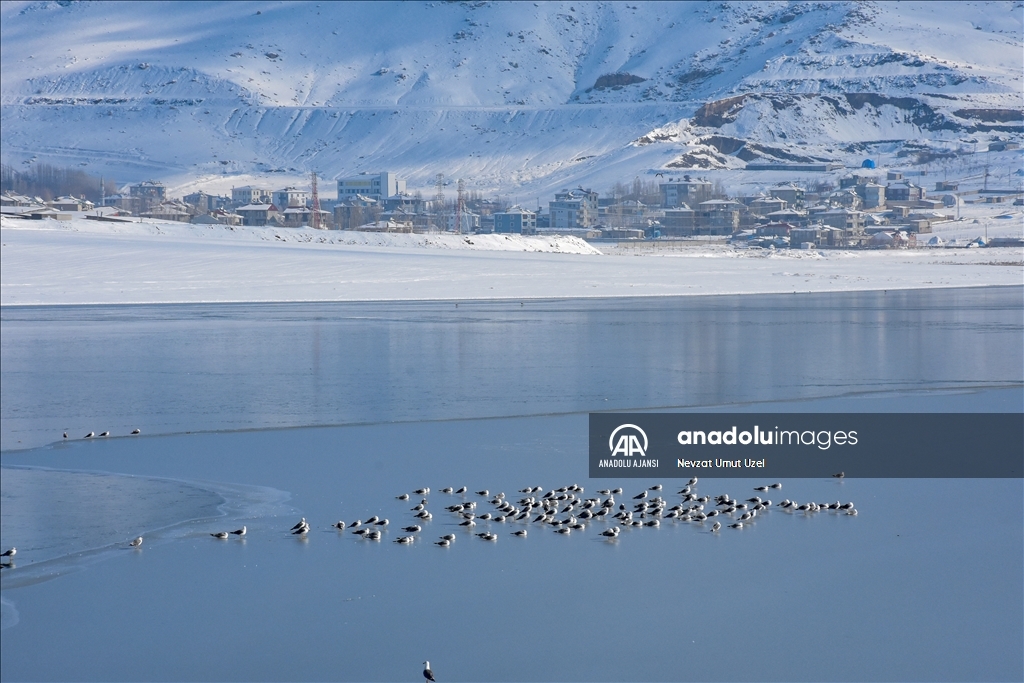 Van'daki Sıhke Gölü'nün yüzeyi buz tuttu