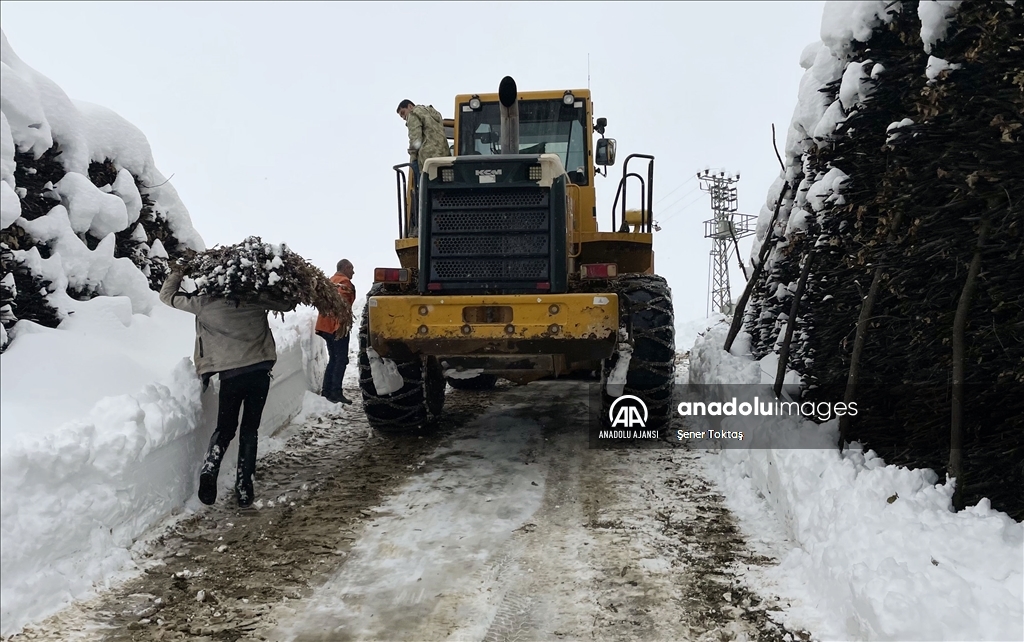 Bitlis&#39;te kar yağışı yaşamı olumsuz etkiledi