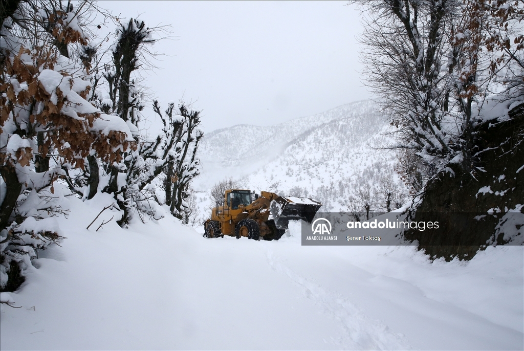 Bitlis&#39;te karla m&#252;cadele ekipleri k&#246;y yollarını a&#231;mak i&#231;in mesai yapıyor